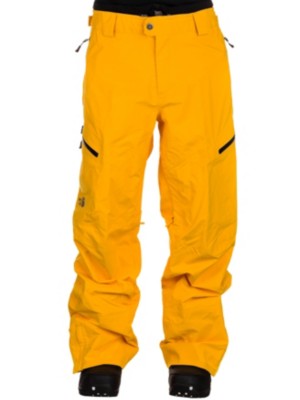 The north face free thinker 2024 bib pants